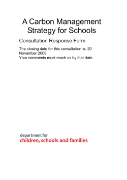 A Carbon Management Strategy for Schools