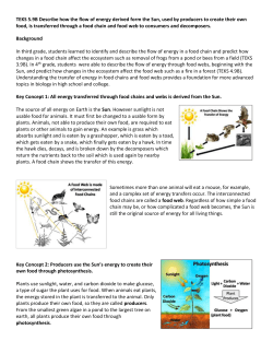 TEKS 5.9B Describe how the flow of energy derived form the Sun