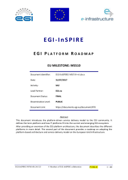 EGI-InSPIRE-MS510-final