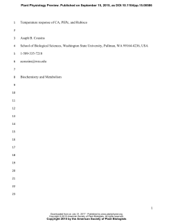 Temperature response of CA, PEPc, and Rubisco