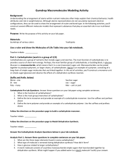 Gumdrop Macromolecules Modeling Activity