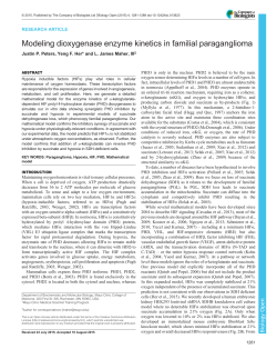 Modeling dioxygenase enzyme kinetics in familial paraganglioma