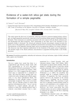 Evidence of a water-rich silica gel state during the