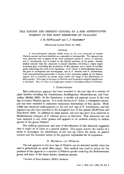 THE NATURE AND GENETIC CONTROL OF A RED