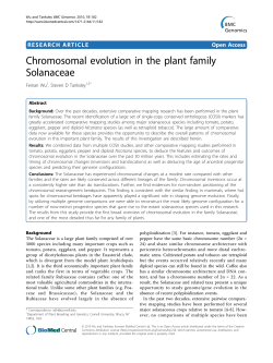 Chromosomal evolution in the plant family