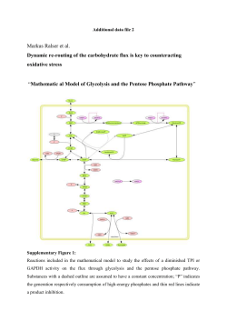 Supplementary material Part X