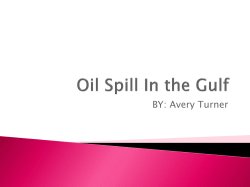 Oil Spill In the Gulf - Monroe County Schools