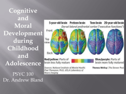 10a - Developmental 2-3 (Cognitive and Moral)