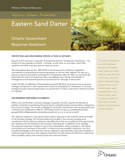Government Response Statement to the Recovery Strategy for