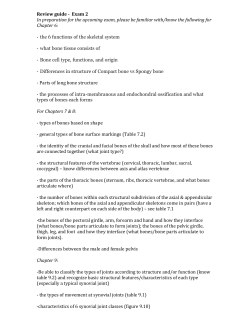 Exam 2