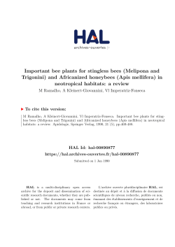 Important bee plants for stingless bees