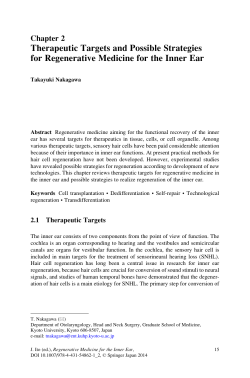 Therapeutic Targets and Possible Strategies for Regenerative