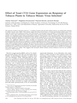 Effect of Yeast CTA1 Gene Expression on Response of Tobacco