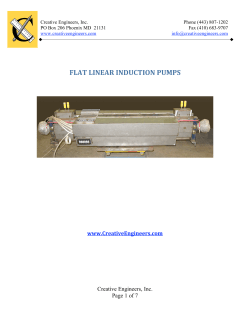 flat linear induction pumps