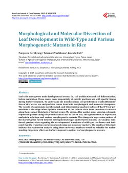 Morphological and Molecular Dissection of Leaf Development in