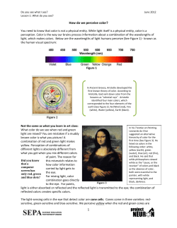 Lesson 1: What do you need to know about color perception