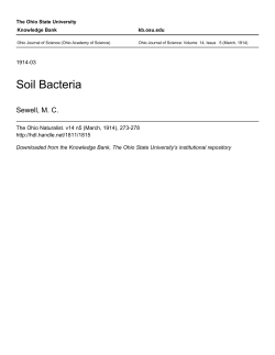 Soil Bacteria - Knowledge Bank