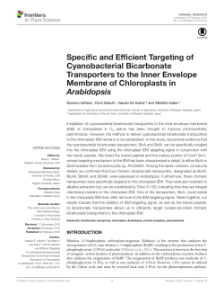 Specific and Efficient Targeting of Cyanobacterial