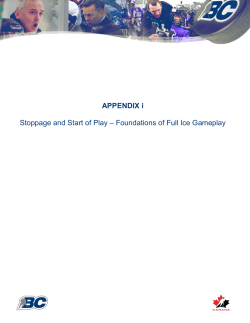 i. Stoppage and Start of Play &ndash; Foundations of Full-Ice