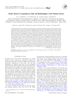 Cluster Roots in Casuarinaceae: Role and Relationship to Soil