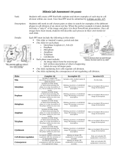Mitosis Lab Assessment