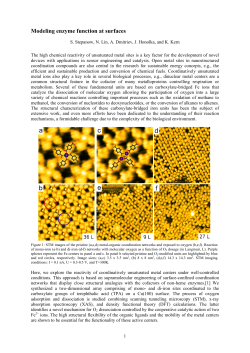 Modeling enzyme function at surfaces