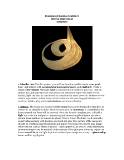Illuminated Bamboo Sculpture Handout