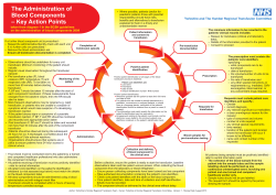blood components diagram new