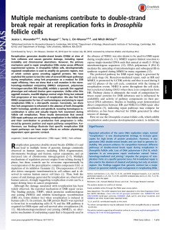 Multiple mechanisms contribute to double