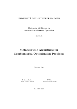 Metaheuristic Algorithms for Combinatorial Optimization Problems