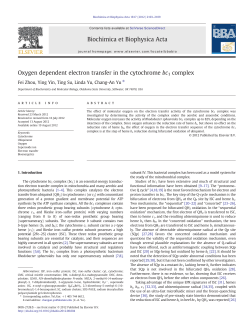 Oxygen dependent electron transfer in the cytochrome bc1 complex