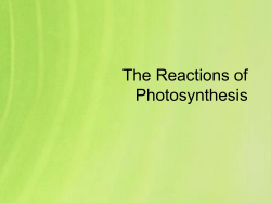 Unit C: Photosynthesis and Cellular Respiration