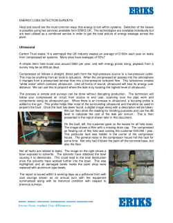 Energy Loss Detection Surveys Heat and Sound