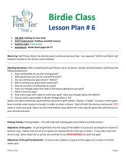 Birdie Class Lesson Plan # 6