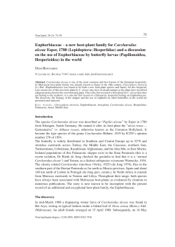 Euphorbiaceae &ndash; a new host-plant family for Carcharodus alceae