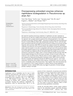 Overexpressing antioxidant enzymes enhances