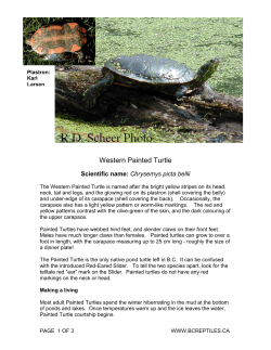 PDF version of this page