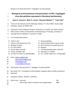 Biological and biochemical characterization of HIV