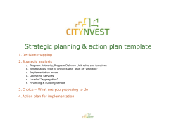 Citynvest Strategic Action Plan template_Ver1.4