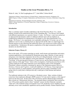 Studies at the Great Wicomico River, VA