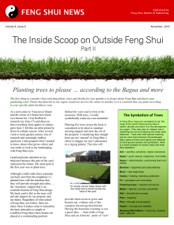 The Inside Scoop on Outside Feng Shui