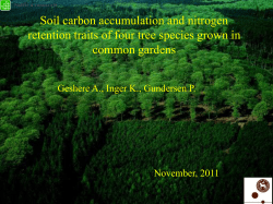 Soil carbon accumulation and nitrogen retention traits of four tree