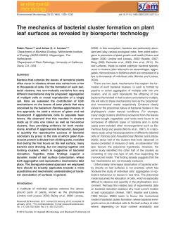 The mechanics of bacterial cluster formation on plant leaf surfaces