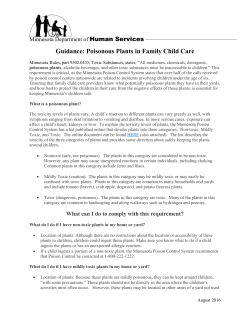 Guidance: Poisonous Plants in Family Child Care