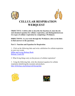 cellular respiration webquest