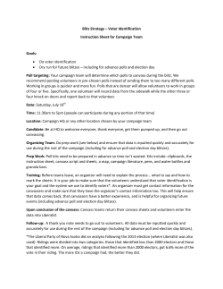 Blitz Strategy &ndash; Voter Identification Instruction Sheet for