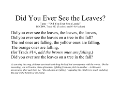 Did You Ever See the Leaves