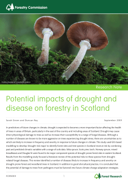 Potential impacts of drought and disease on forestry in Scotland