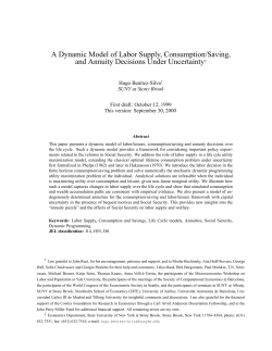 A Dynamic Model of Labor Supply, Consumption/Saving, and