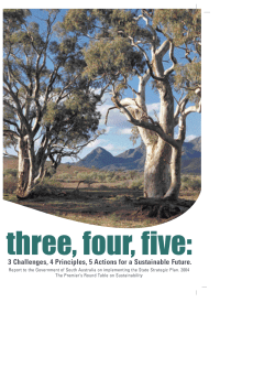 3 Challenges, 4 Principles, 5 Actions for a Sustainable